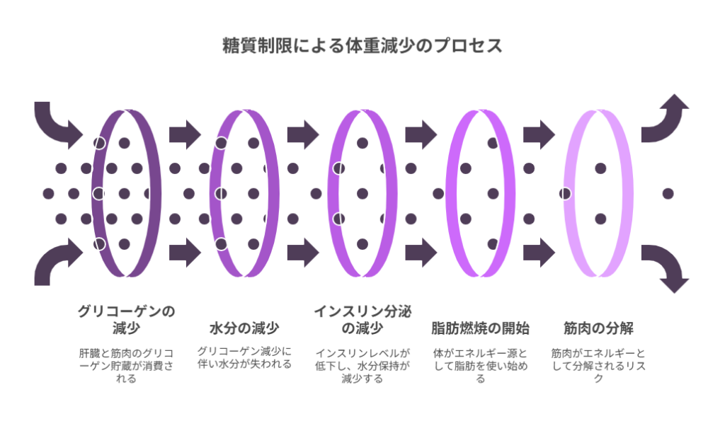 急激な体重減少のメカニズムと注意点