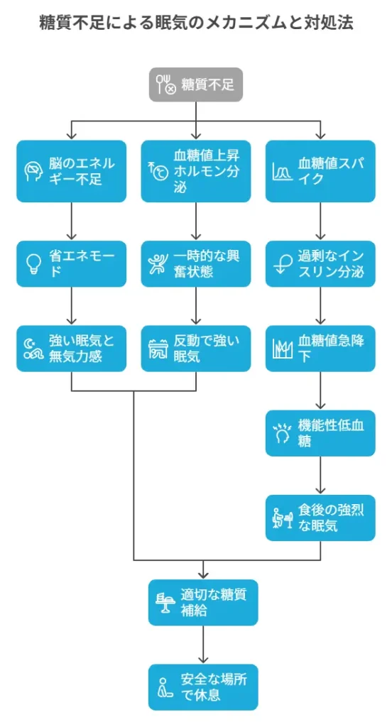 糖質不足による眠気のメカニズム