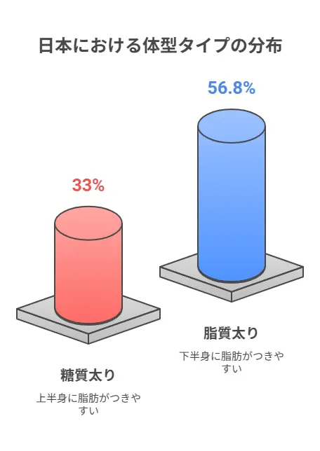 糖質太り脂質太り体型の違いと特徴