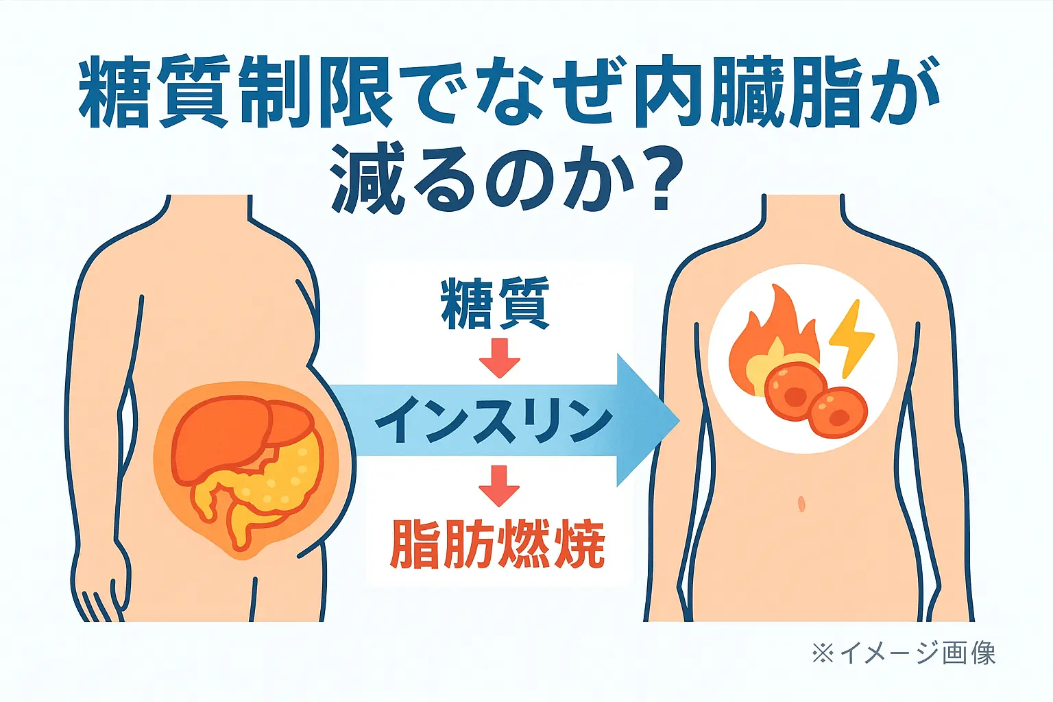 糖質制限で内臓脂肪を効率的に燃焼させる食事法と運動のコツ