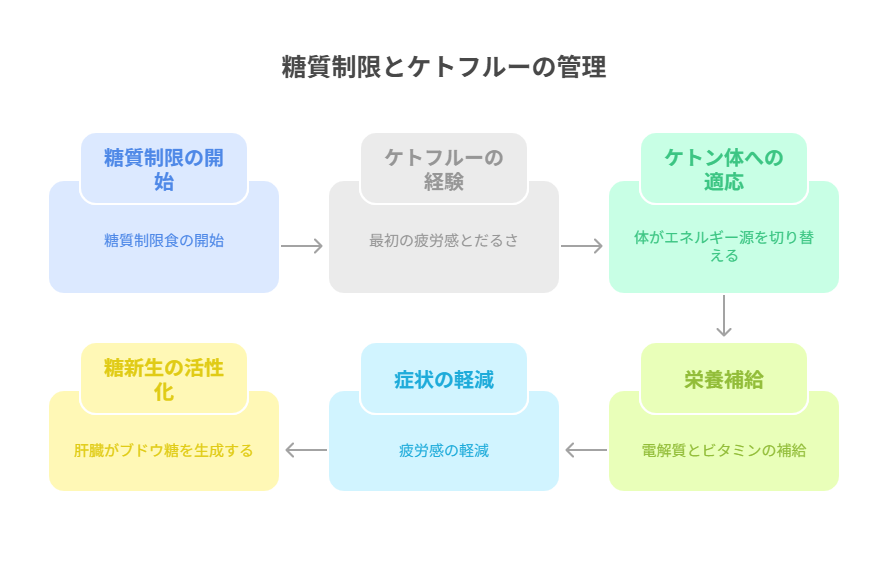 糖質制限 だるさ いつまで続くかと改善商品