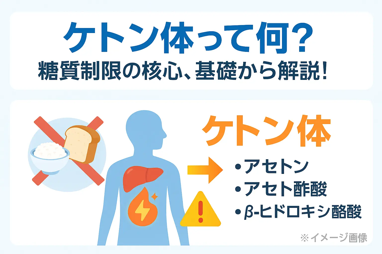 糖質制限とケトン体の関係性｜いつから効果が出るかまで完全ガイド