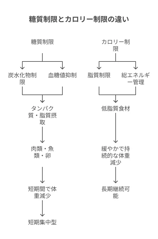 ケトン体ダイエット中の注意点と最新リスク情報