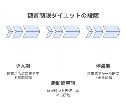 糖質制限体重落ち方グラフで理解する減量の段階的変化