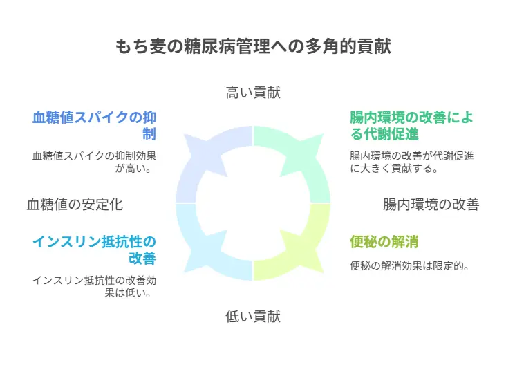 もち麦食物繊維と糖尿病の関係性