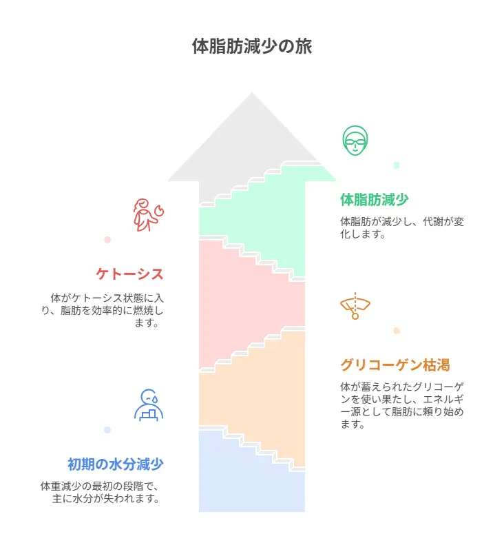 「糖質制限 水分が抜けるだけ」で終わらない体脂肪減少の真実