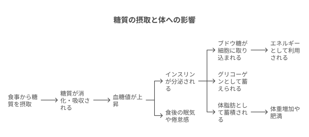 糖質とは?体への影響