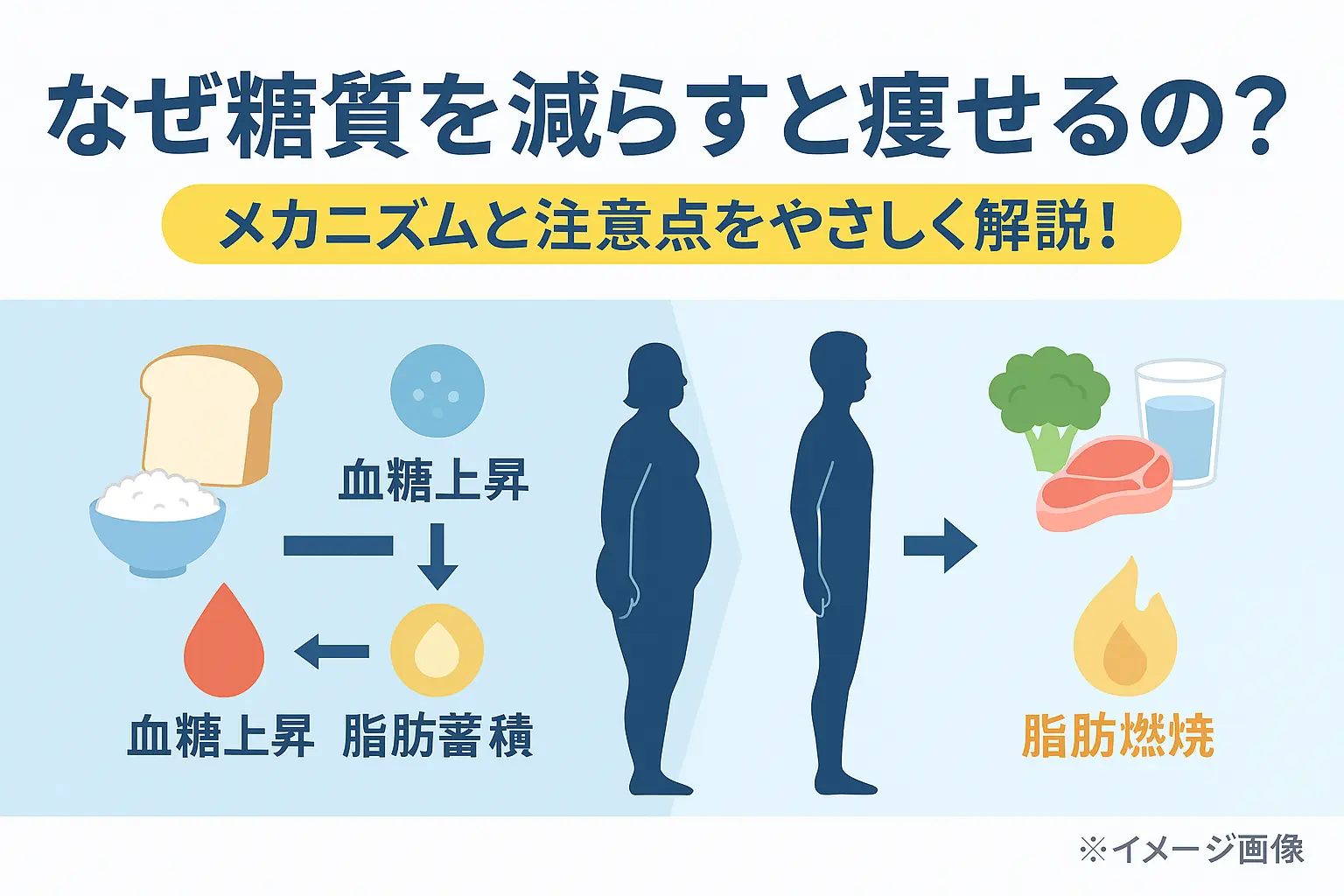 糖質制限なぜ痩せる？メカニズムと注意点を解説